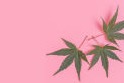 CBD